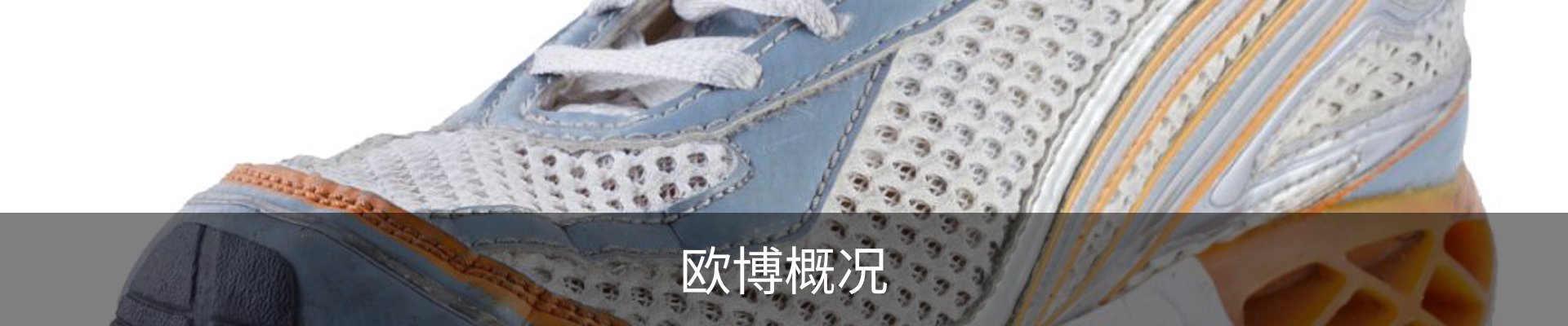 欧博概况